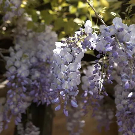 Relais Du Perigord Noir Hotel 3*