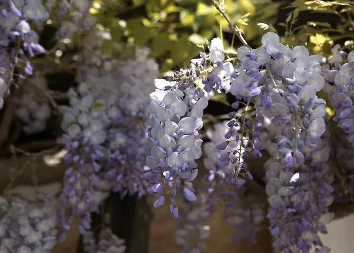 Relais Du Perigord Noir מלון 3*